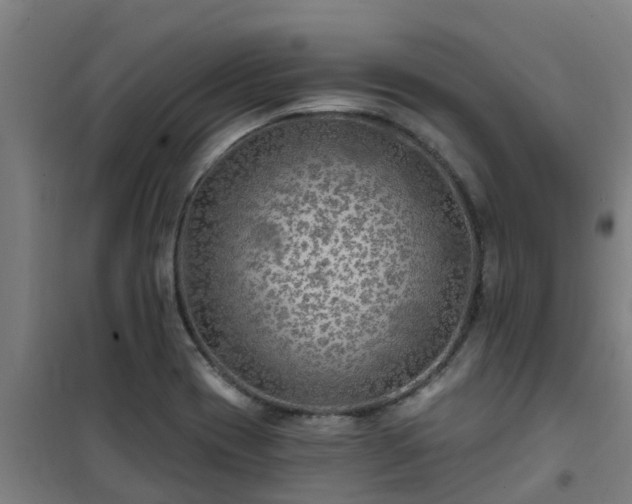 X0000101091417200807031716