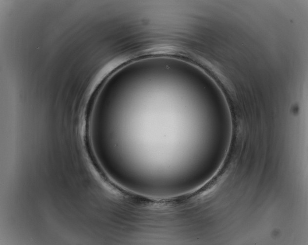 X0000101091418200807031716