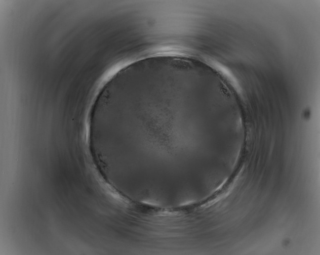 X0000101091419200807031716