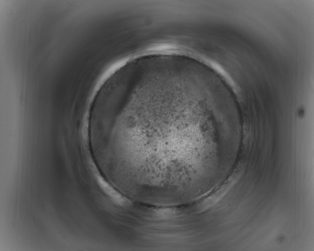 X0000101091421200807031716