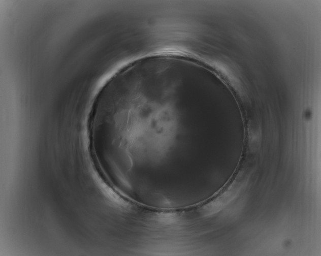 X0000101091422200807031716