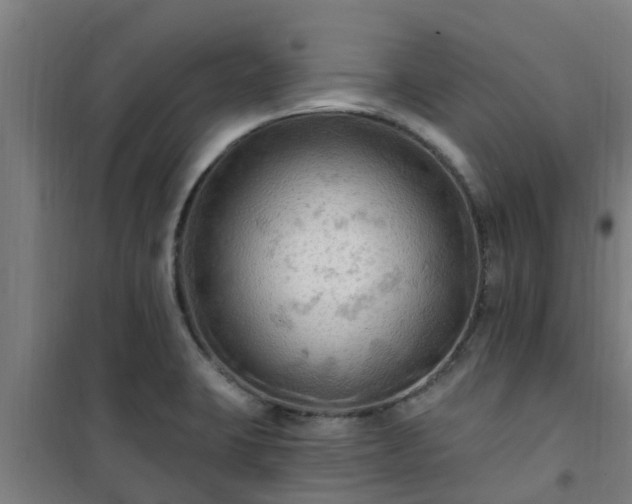 X0000101091423200807031716