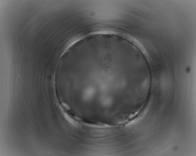 X0000101091425200807031716