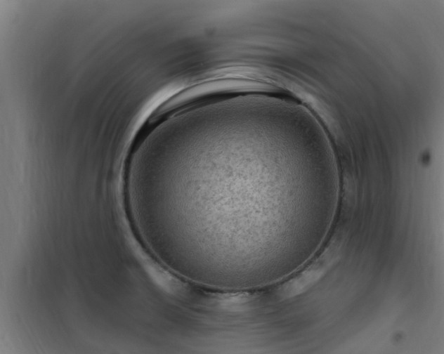 X0000101091426200807031716