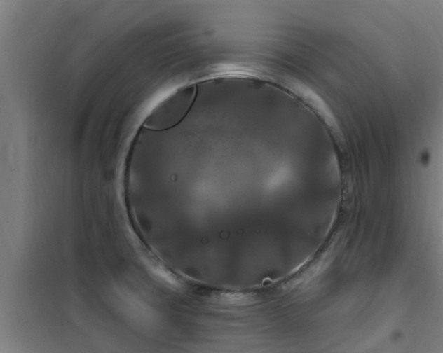 X0000101091427200807031716