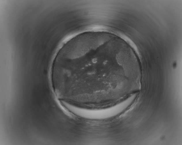 X0000101091429200807031716