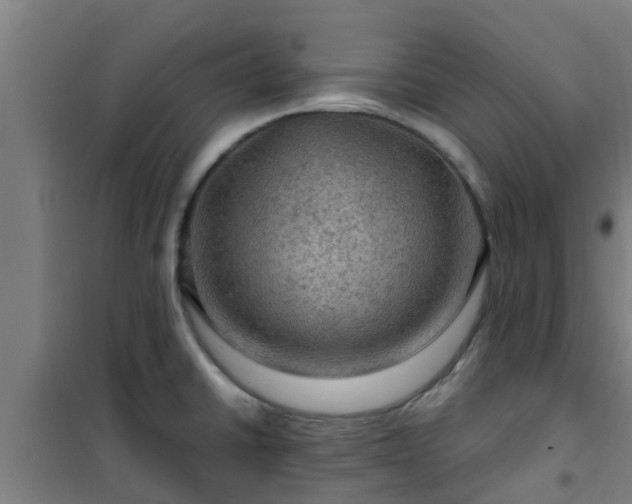 X0000101091430200807031716