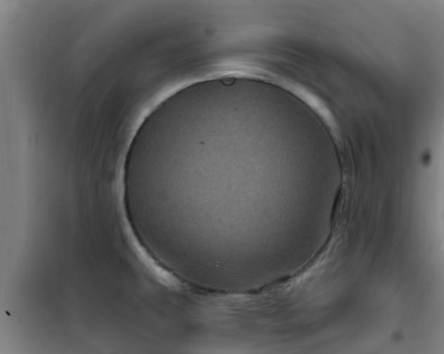 X0000101091431200807031716