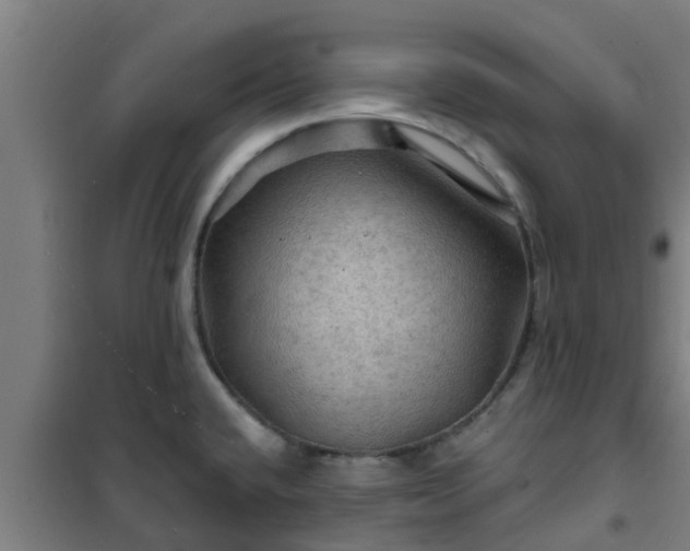 X0000101091432200807031716