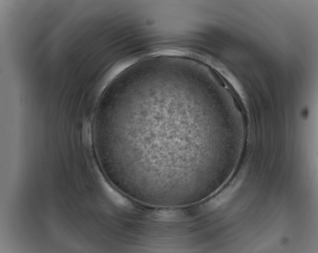 X0000101091433200807031716