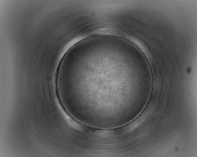 X0000101091434200807031716