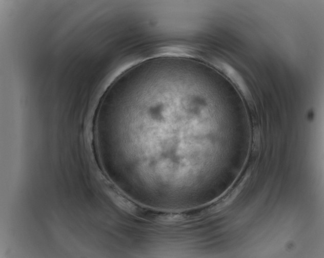 X0000101091435200807031716