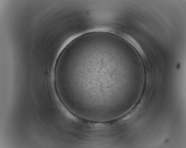 X0000101091436200807031716