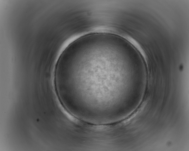 X0000101091437200807031716