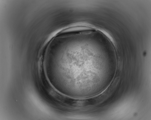 X0000101091438200807031716