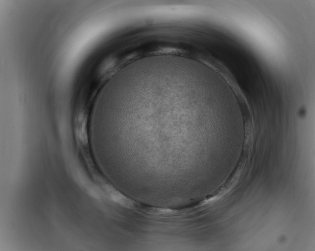 X0000101091439200807031716