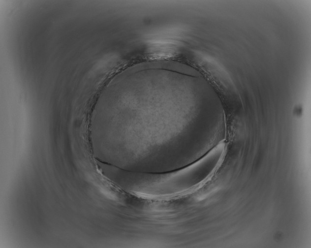 X0000101091441200807031715