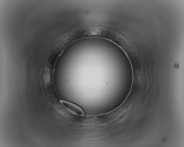 X0000101091442200807031715