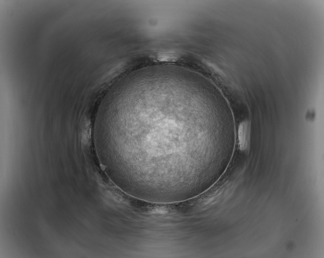 X0000101091443200807031715