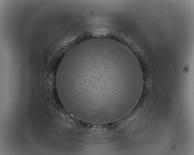 X0000101091445200807031715