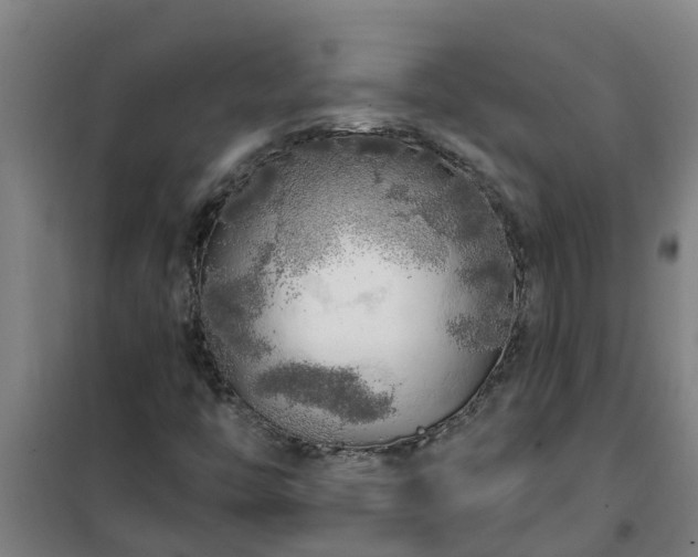 X0000101091446200807031715