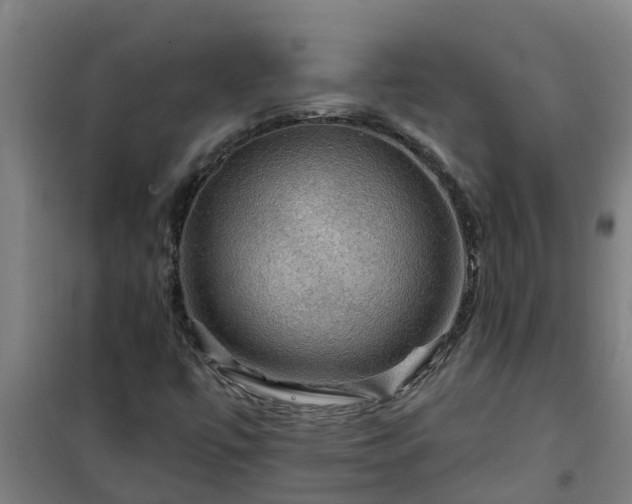 X0000101091447200807031715