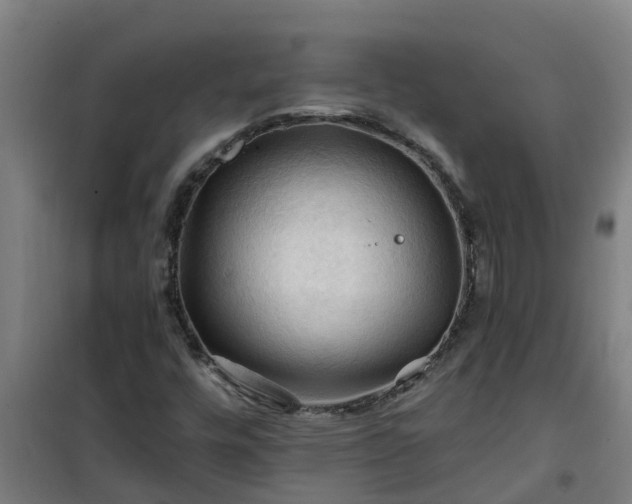 X0000101091448200807031715