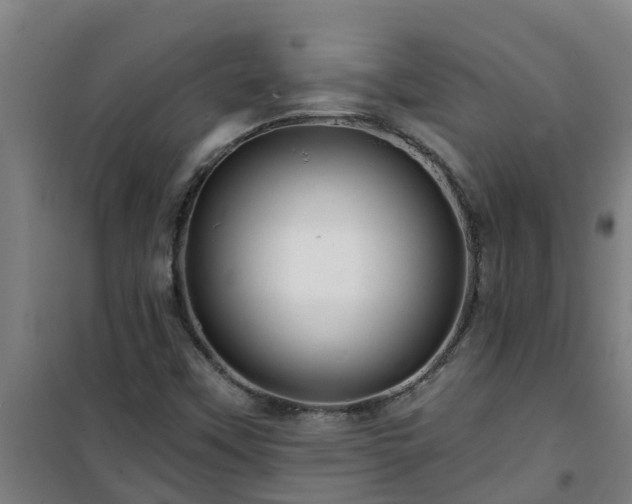 X0000101091451200807031715