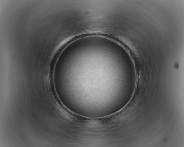 X0000101091452200807031715