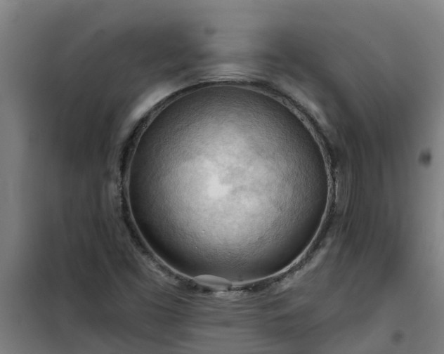 X0000101091453200807031715