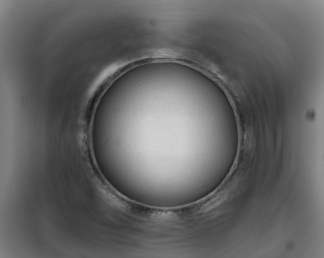 X0000101091454200807031715