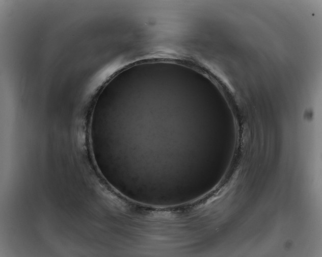 X0000101091455200807031715