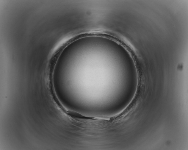 X0000101091456200807031715