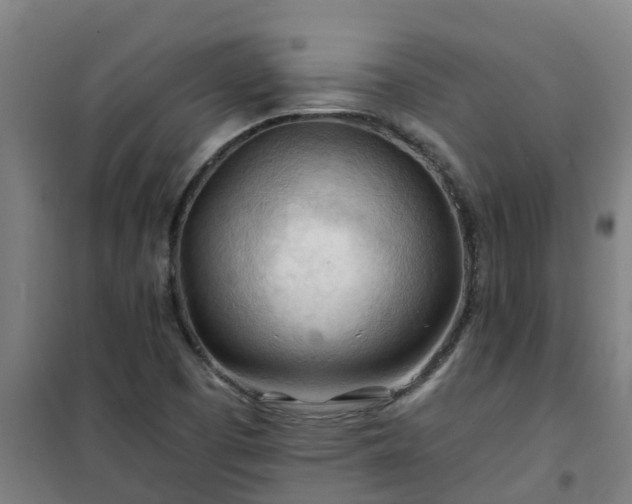 X0000101091457200807031715