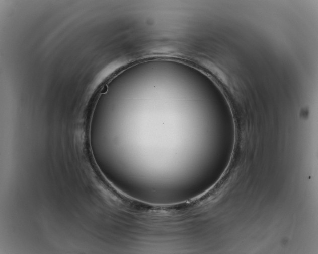 X0000101091458200807031715