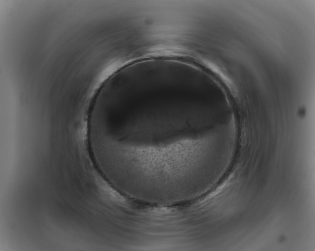 X0000101091459200807031715