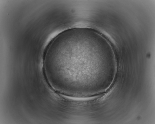 X0000101091461200807031715