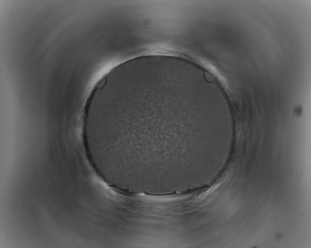 X0000101091463200807031715