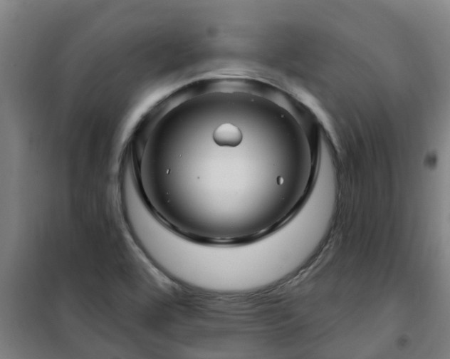 X0000101091464200807031715