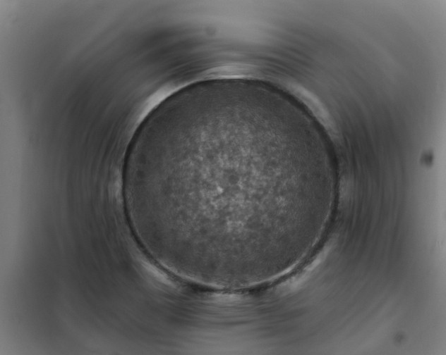 X0000101091465200807031715