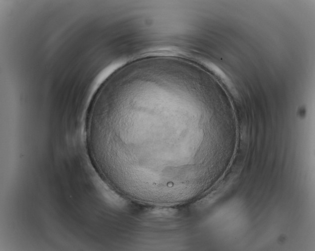 X0000101091466200807031715