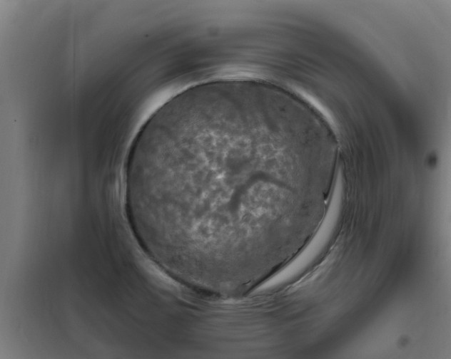 X0000101091467200807031715