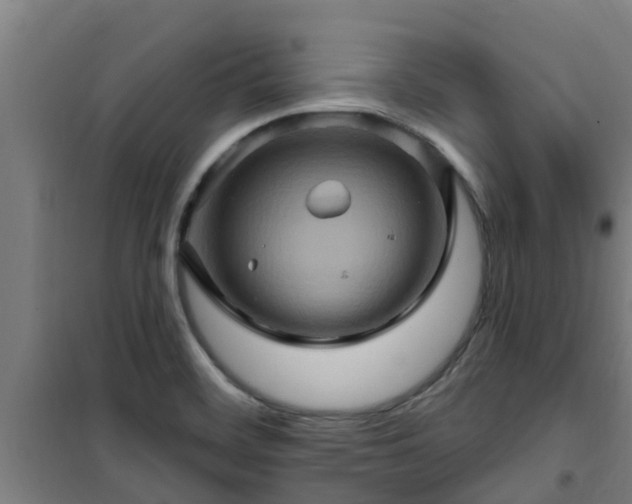 X0000101091468200807031715