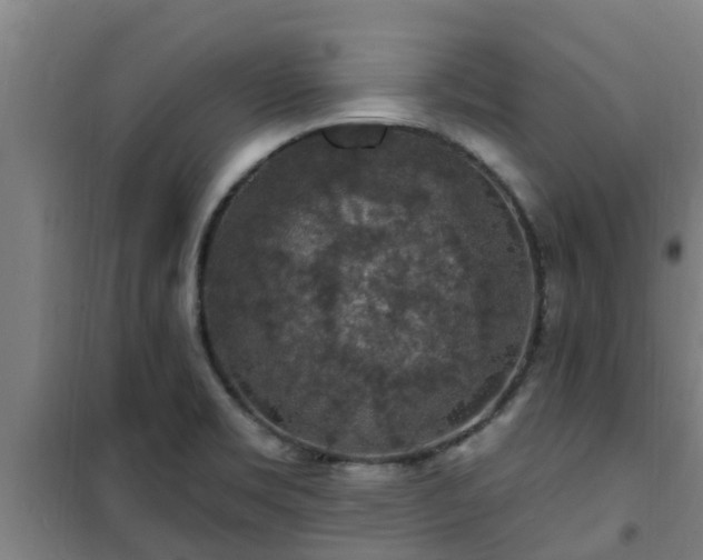 X0000101091469200807031715