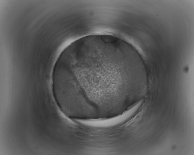 X0000101091471200807031715