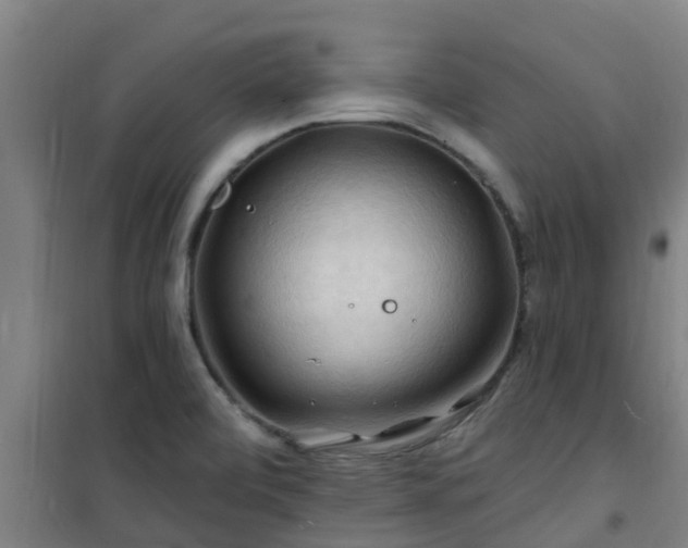 X0000101091472200807031715