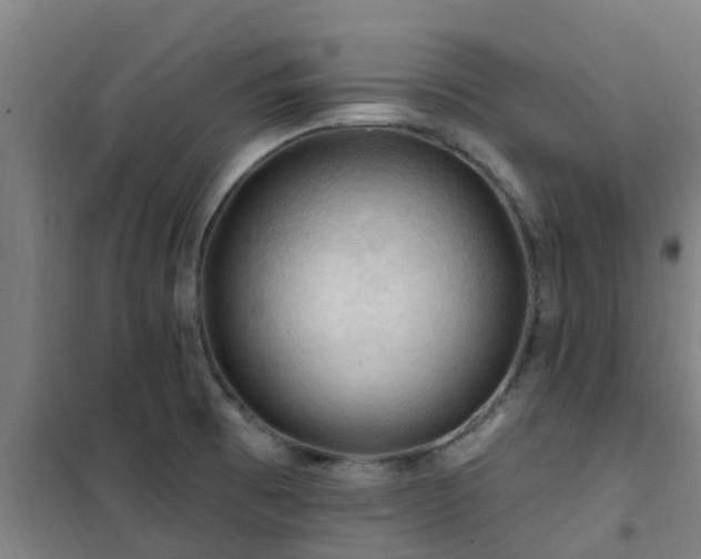 X0000101091473200807031715