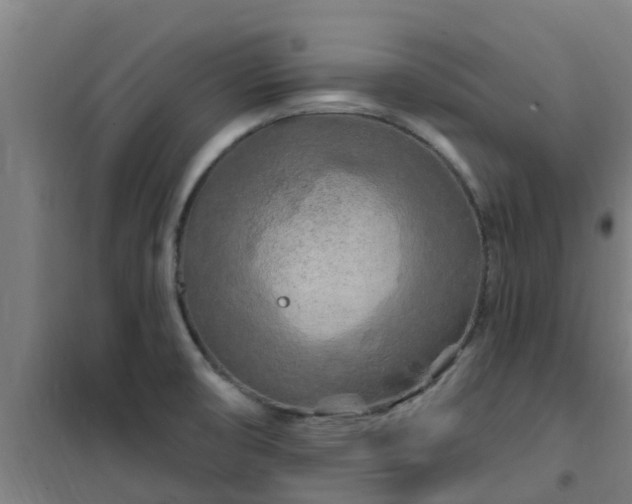 X0000101091474200807031715