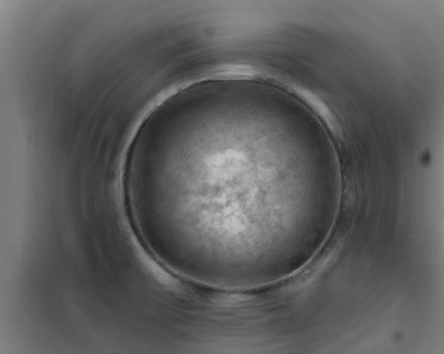 X0000101091475200807031715