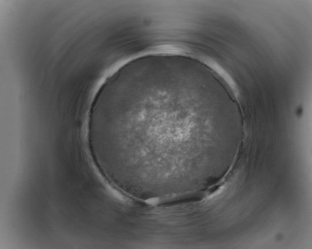 X0000101091477200807031715